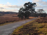 Groenendaal desde Loenermark