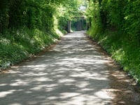 Groeneweg über Kievit