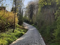 Groeneweg
