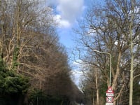 Col du Bisselt / Groesbeekseweg da Mook