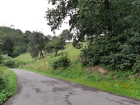 Groesteen von Brandenbourg