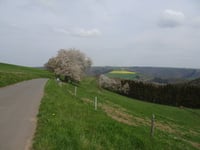 Groesteen von Keppeshausen