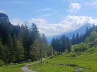 Grön da Gunten via Sigriswil