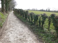 Groot Heugdeweg von Noorbeek