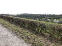 Groot Heugdeweg von Noorbeek