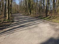 Groot Welsden über Groot Welsderweg