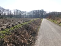 Groot Welsden über Groot Welsderweg