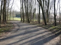 Groot Welsden über Groot Welsderweg