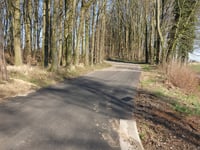 Groot Welsden über Groot Welsderweg