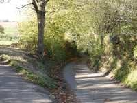 Groot Welsden par Hareweg