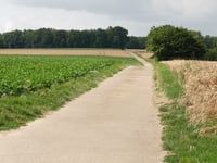 Watertoren Grootbos über Op Den Drinkaert