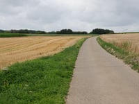 Watertoren Grootbos über Op Den Drinkaert