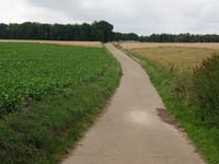 Watertoren Grootbos über Op Den Drinkaert