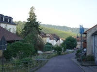 Gross Bubüsch von Nittel
