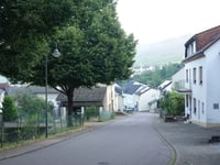 Gross Bubüsch von Nittel