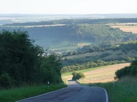 Gross Bubüsch von Nittel
