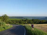 Gross Bubüsch von Nittel