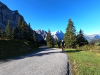 Grosse Scheidegg von Grindelwald