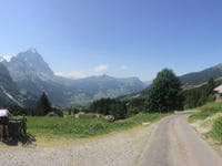 Grosse Scheidegg von Grindelwald