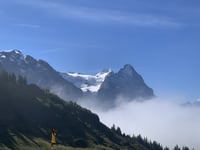 Grosse Scheidegg von Grindelwald