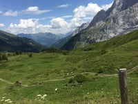 Grosse Scheidegg da Meiringen