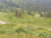 Grosse Scheidegg da Meiringen