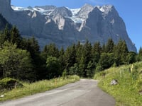 Grosse Scheidegg vanuit Meiringen