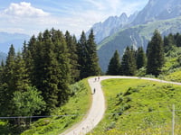 Grosse Scheidegg vanuit Meiringen