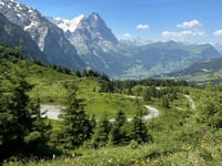 Grosse Scheidegg von Meiringen