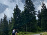 Grosse Scheidegg vanuit Meiringen