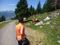 Grosse Scheidegg da Meiringen