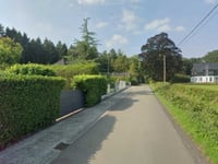 Grossenbusch von Buschhausstrasse