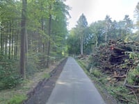 Grossenbusch von Buschhausstrasse