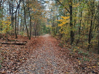 Grösser Müggelberg
