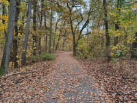 Grösser Müggelberg