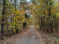 Grösser Müggelberg