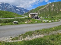 Grossglockner Pass / Edelweissspitze