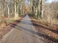 Grote Heiweg von Heihoven