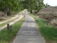 Kleine Koningsbelt von Haarle