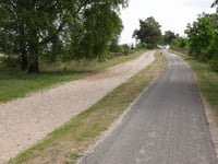 Kleine Koningsbelt von Haarle