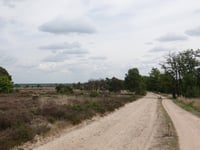 Kleine Koningsbelt from Grote Koningsbelt