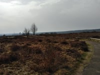 Grote Koningsbelt