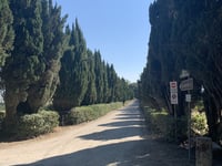 Grotti Alto von Bagnaia