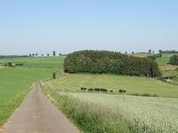 Groussendréisch von Hupperdange