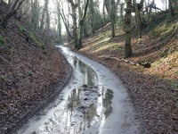 Grubbenweg von Nagelbeek
