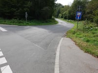Grüne Eiche von Monschauer Strasse