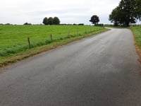 Grüne Eiche von Monschauer Strasse