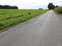 Grüne Eiche von Monschauer Strasse