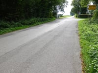 Grüne Eiche von Monschauer Strasse