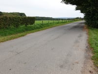 Grüne Eiche von Monschauer Strasse